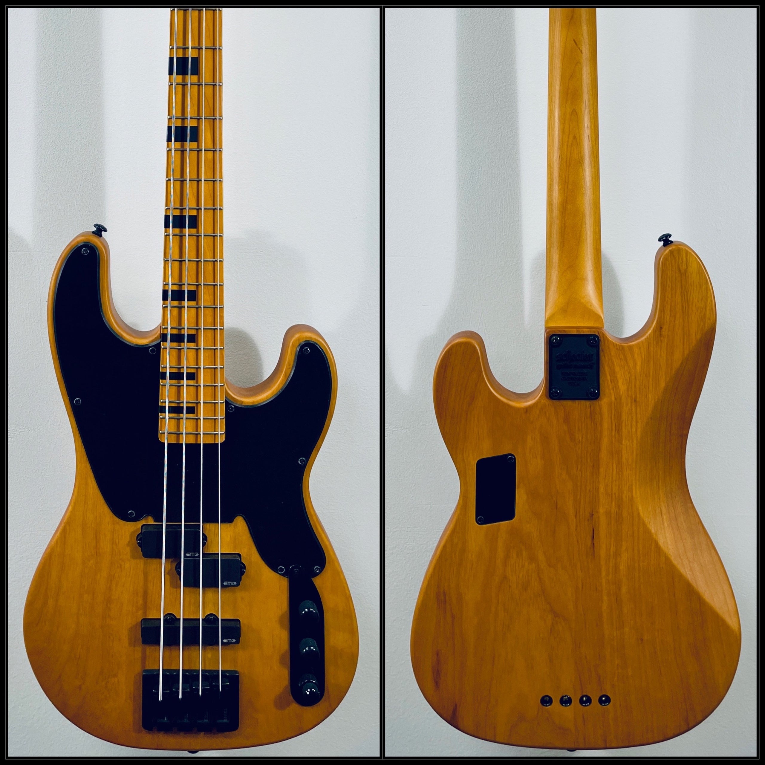 Schecter t session sale bass