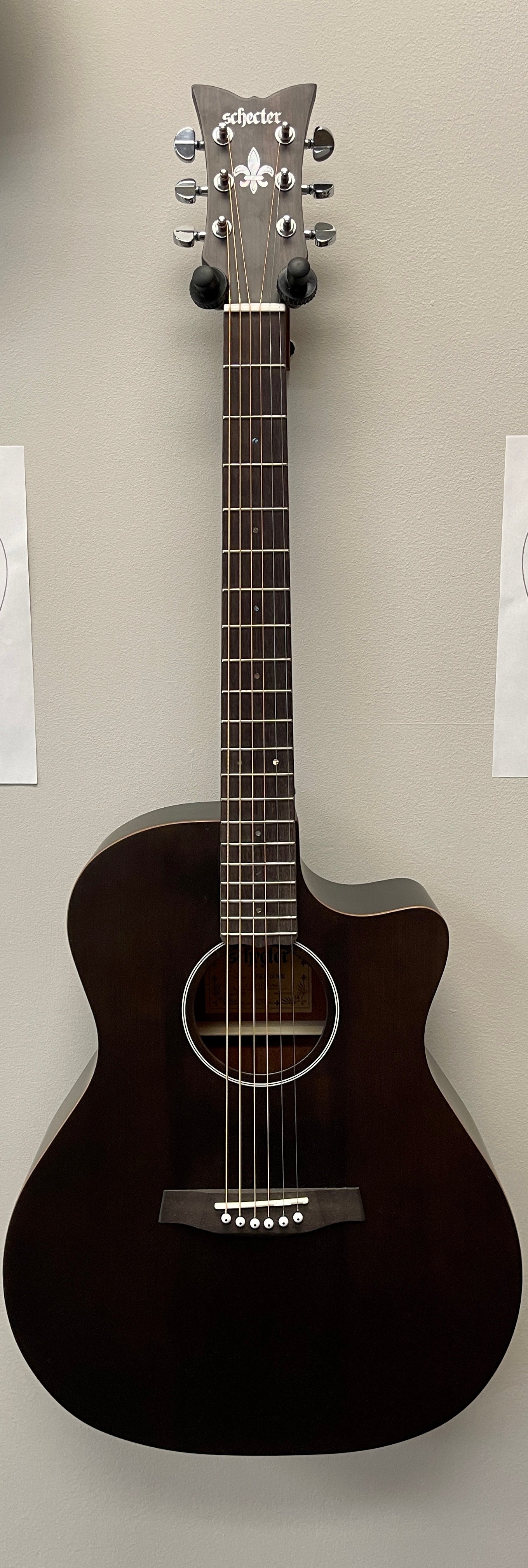 Schecter Deluxe Acoustic Natural Satin